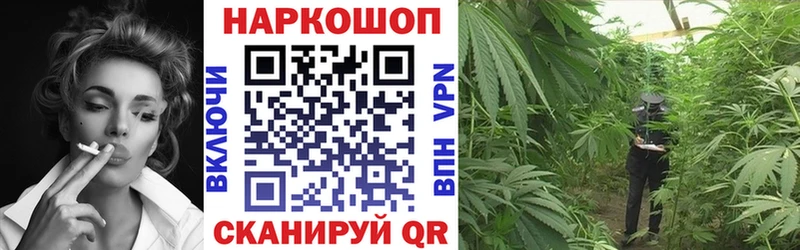 Магазин наркотиков Полярные Зори Бошки Шишки  Альфа ПВП  АМФ  ГАШ 