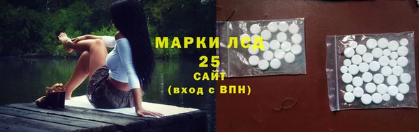 дживик Осинники