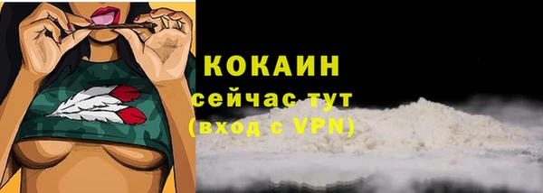 дживик Осинники