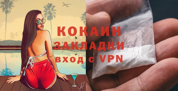 дживик Осинники