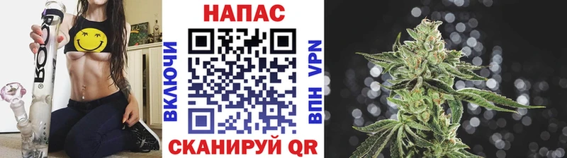 Конопля планчик  Полярные Зори 